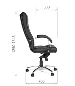 Кресло офисное CHAIRMAN 480 Экокожа премиум черная в Коврове - предосмотр 2